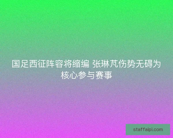 国足西征阵容将缩编 张琳芃伤势无碍为核心参与赛事